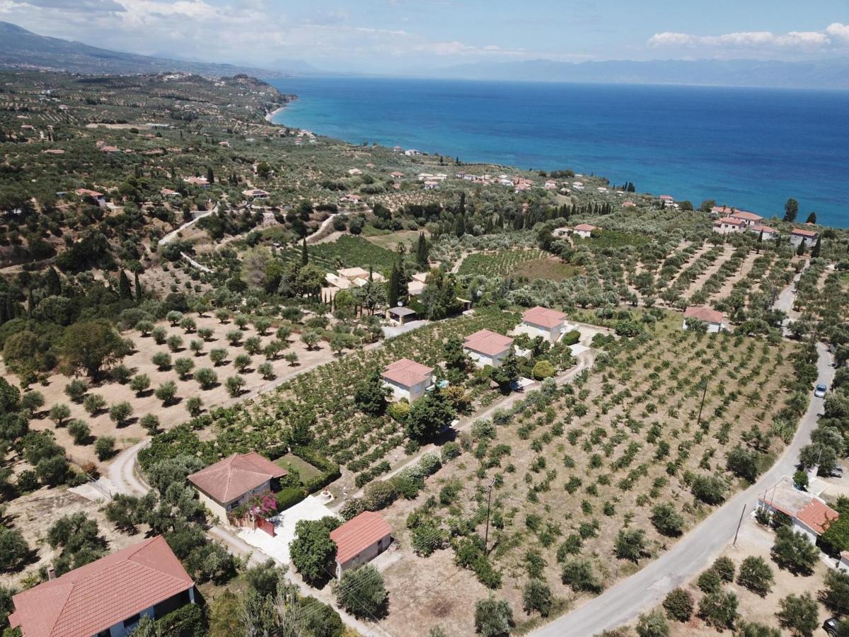 Orfanos 3