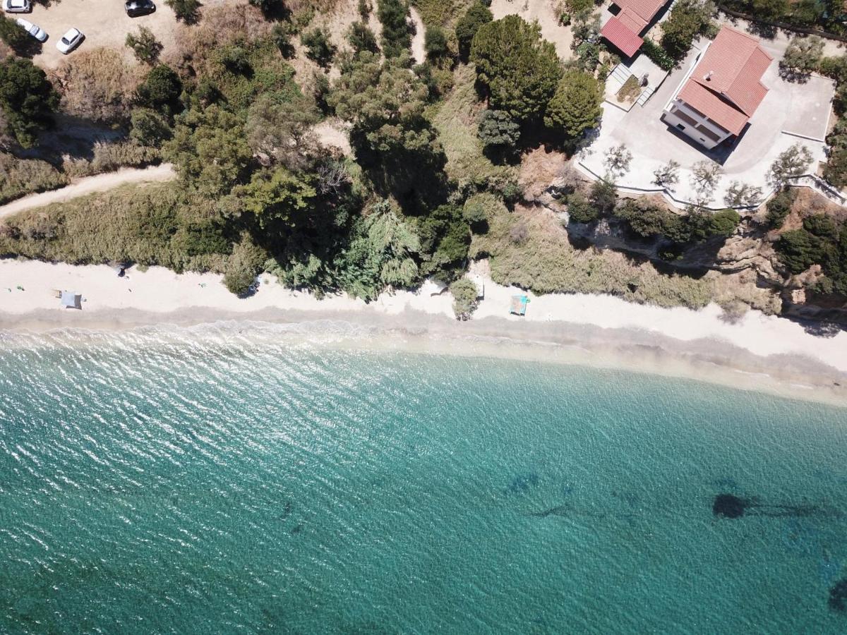 Orfanos 3