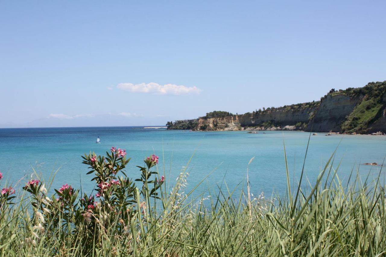 Orfanos 3
